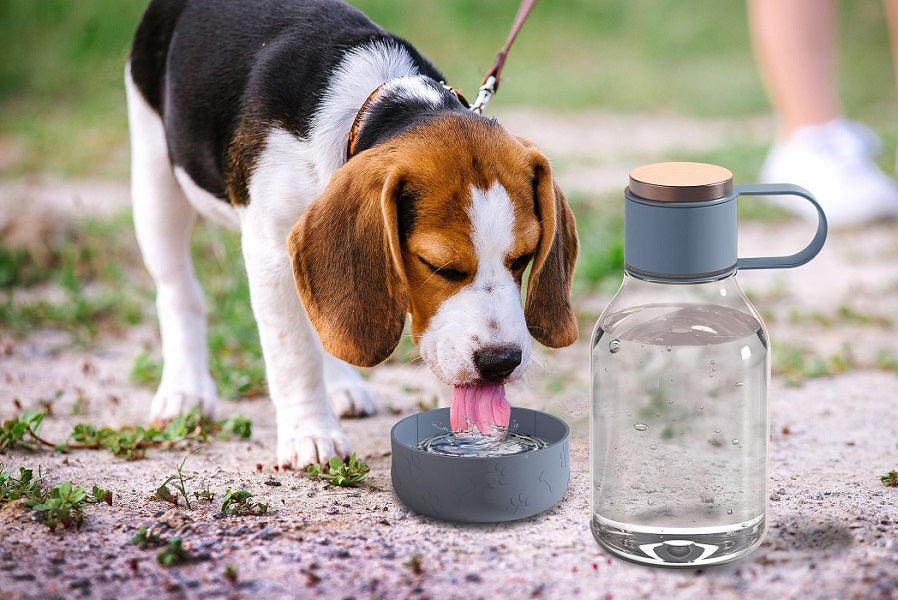 Boca za vodu DOG BOWL BOTTLE TRITAN