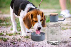 Boca za vodu DOG BOWL BOTTLE TRITAN